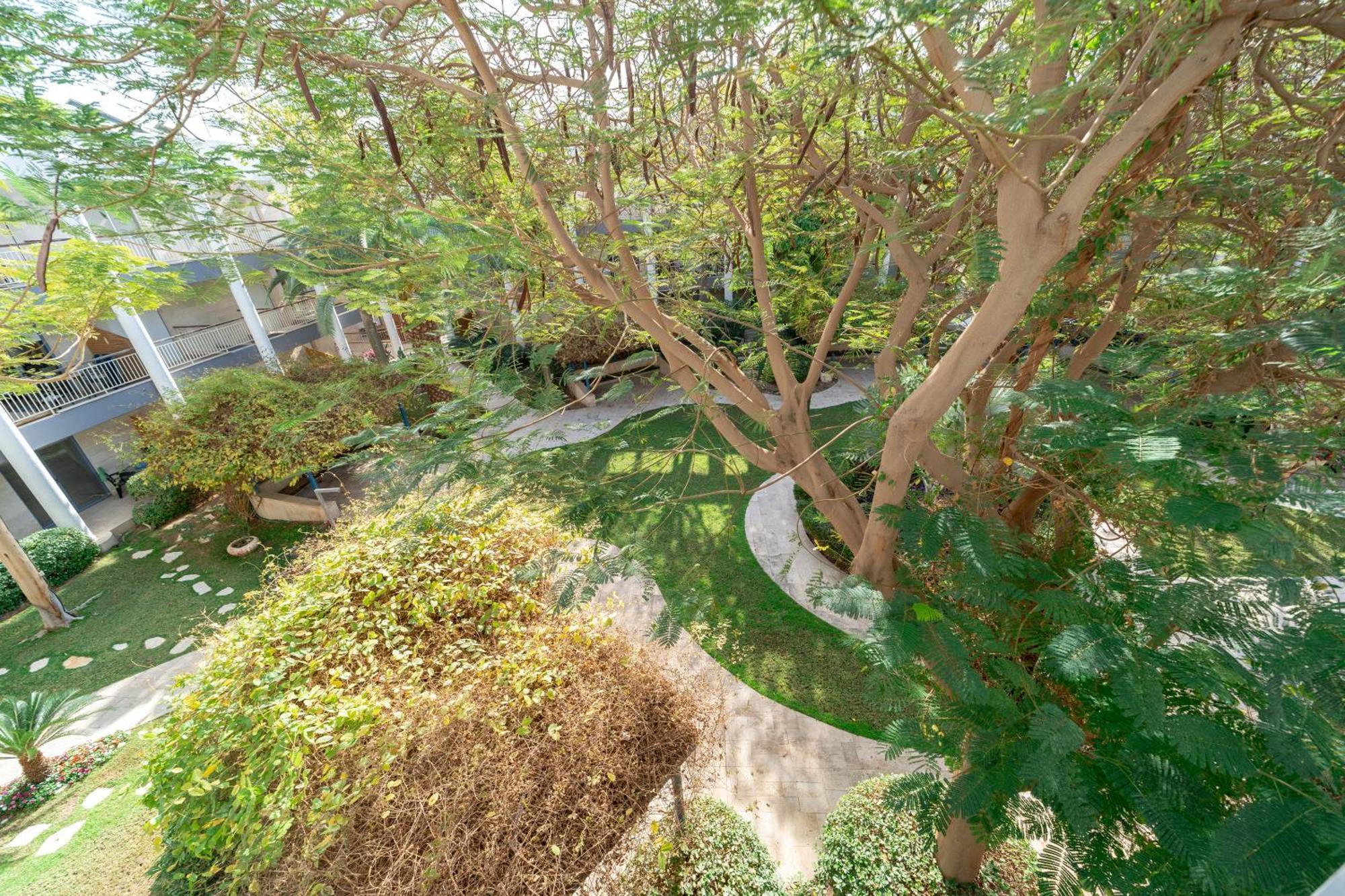 Royal Park Studio 5 Min From The Center * Eilat